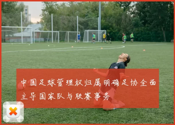 中国足球管理权归属明确足协全面主导国家队与联赛事务