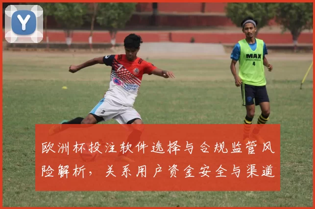 欧洲杯投注软件选择与合规监管风险解析，关系用户资金安全与渠道可行性