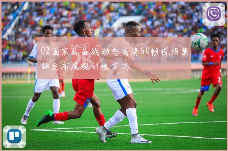 02国家队备战动态高清60帧视频集锦发布展现训练实况