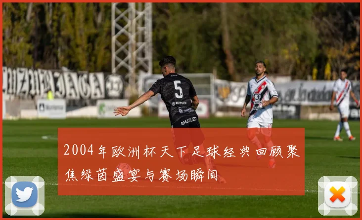 2004年欧洲杯天下足球经典回顾聚焦绿茵盛宴与赛场瞬间