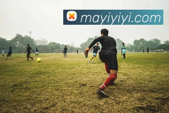 九游app网页版品牌故事